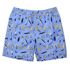 NEW SNAPPER ROCK mens' swim shorts in turtle break
